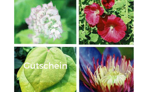 Titelbild zu Angebot 2402